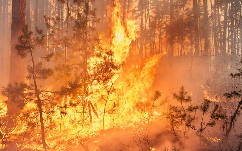 An example of an out of control fire.
