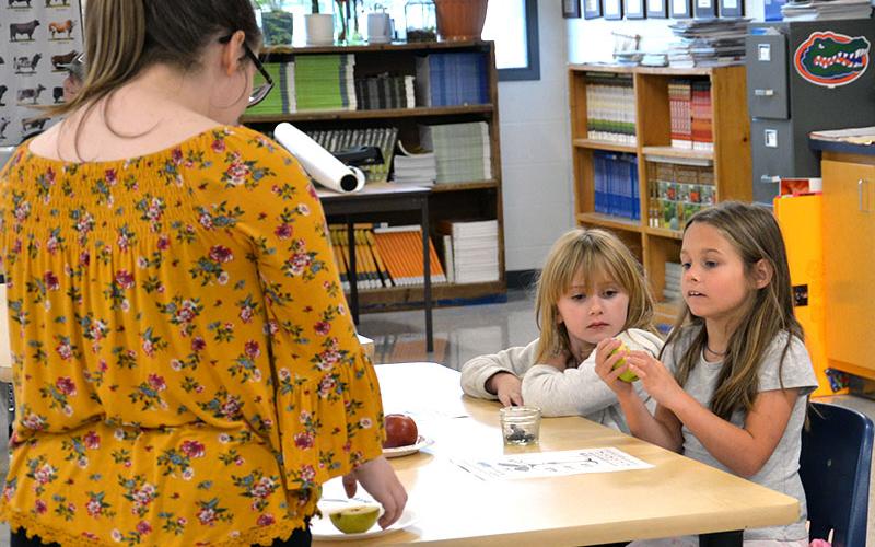 East Fannin Elementary School first graders Danielle Anders,  left, and April Messmore learn more about apples at Apple Day.
