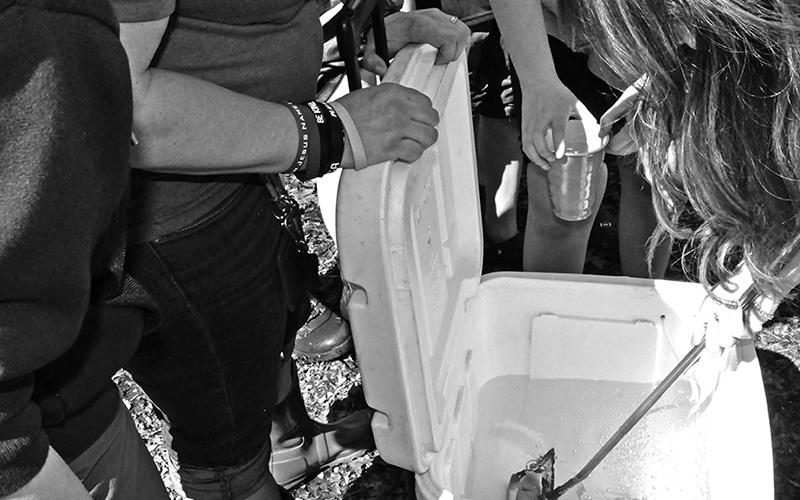Students anxiously awaited their turn to have a trout placed in their cup so they may release it into the stream.