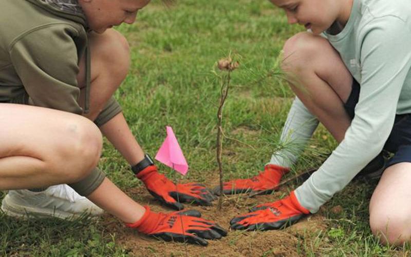 Fannin County Middle school students helps plant native trees and plants, April 26 for Arbor Day.