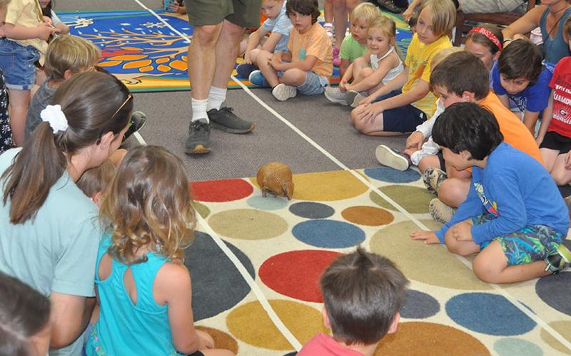 The children at Fannin County Library loved seeing the armadillo crawl around on the floor.