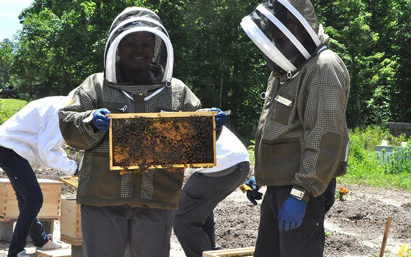 Lisa Thompson shows off her honeybees during the Beekeeping Boot Camp for Veterans. Next to her is owner of Doc’s Healing Hives, Tim Doherty.