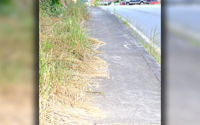 Police Chief Michael Earley raised concerns over the appearance of the overgrown sidewalks in McCaysville as the Independence Day celebration approaches. He cited both the appearance and safety hazard.
