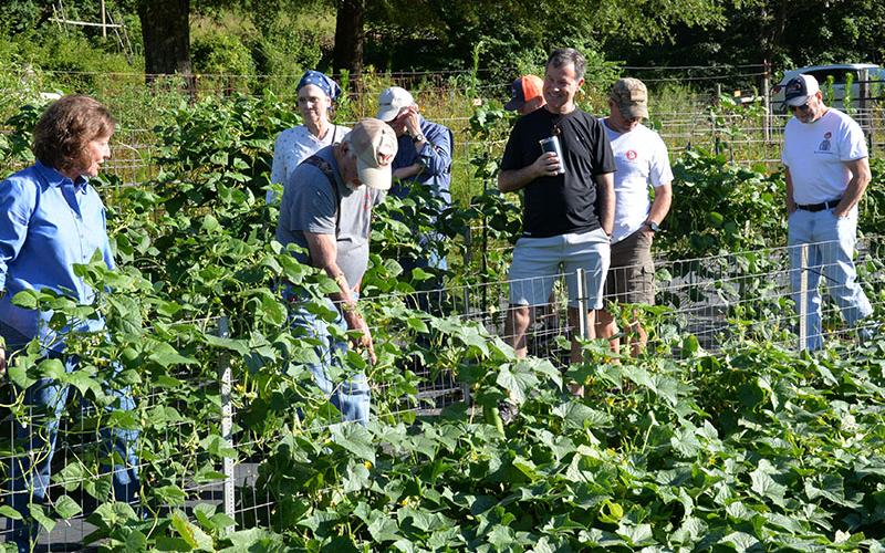 Kathy Beck, vice chair of Ag Education for Feed Fannin, led a tour of the Feed Fannin garden earlier this year for members of the FCYFA. The garden has provided 1,807 pounds of fresh produce for the Fannin County Family Connection Food Pantry this year.