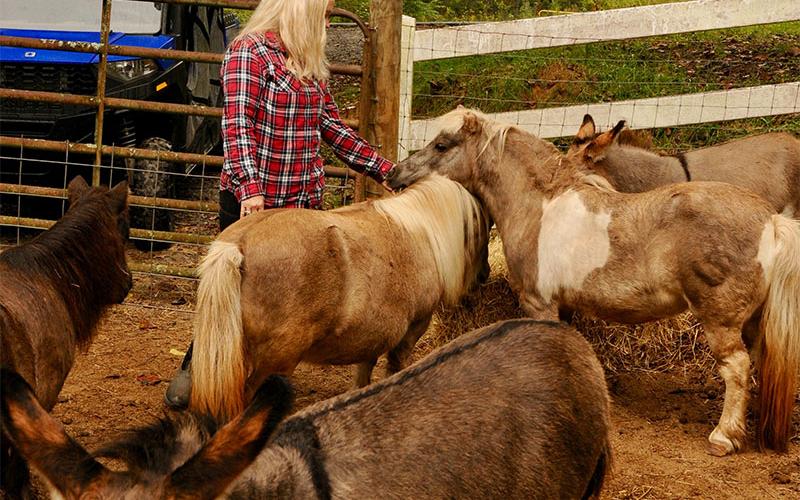 Beth Raque loves on some miniature ponies on her farm also known as the Healing Farm Foundation.