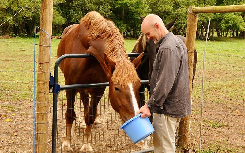 Athena, a Belgium mare, takes advantage of Dr. Kyle Raque’s food bribe, which was used to snap this photo.