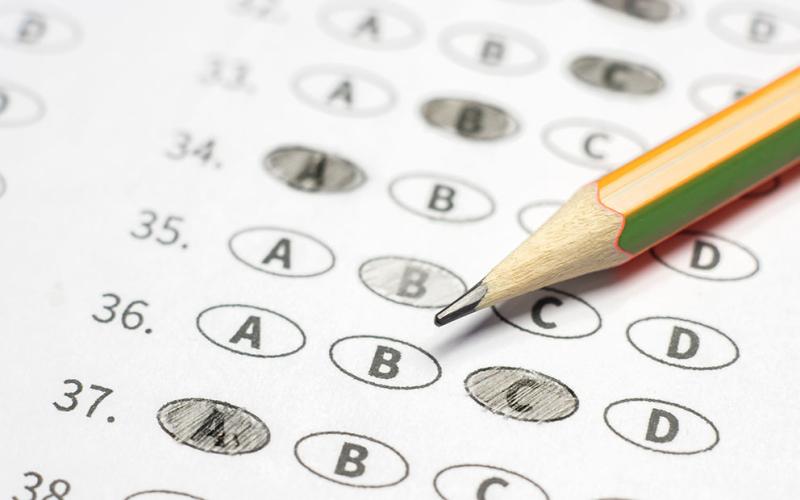 State 2024 College and Career Ready Performance Index (CCRPI) scores for the Fannin County School System show increases from the previous year.
