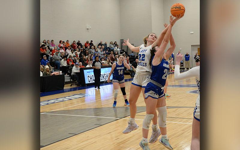 Reese Lewis reaches over her Armuchee opponent to grab a rebound in the Region Championship game.