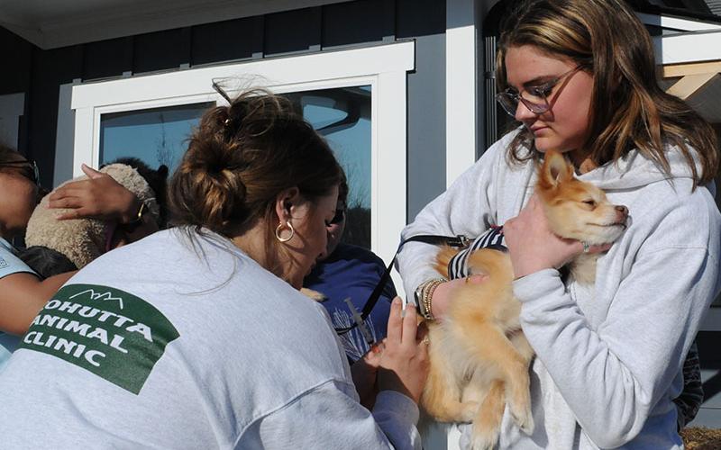 Volunteer Grace Haberman is shown holding a dog while Dr. Grace Murray of Cohutta Animal Clinic gives the dog a vaccine at the Barking Buddies free vaccine clinic.