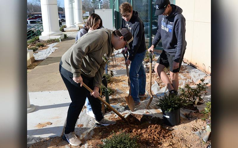 Logan Wright, Alyssa Marshall, James Burrell and Austin Prieto are careful as they improve the landscaping around the Fannin County Courthouse in Blue Ridge.