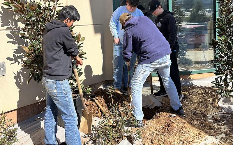 Aaron Vicente, Isaac Franklin, Brady Thomas and Alex McClure work to make sure planting around the Fannin County Courthouse is done correctly.