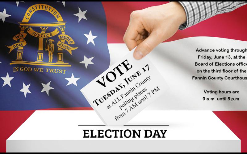 Fannin County voting for two seats on Georgia’s Public Service Commission (PSC) remained at a snail’s pace last week.