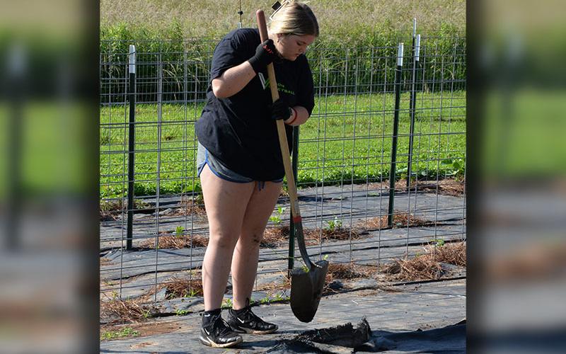Abigail Waters, a Fannin County High School student, was tending to Feed Fannin’s garden Friday, June 6, during her summer break.