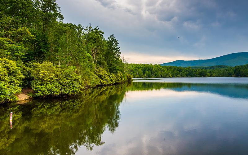 A 13-year-old boy from Fulton County, Georgia, lost his life in what is being investigated as a drowning in Blue Ridge Lake Saturday, June 21.