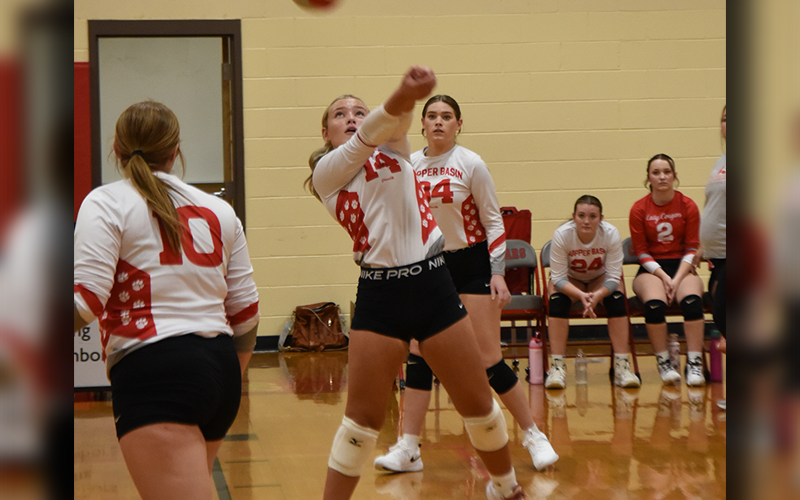 Kendra Deal (14) led Copper Basin in assists with 20 when the Lady Cougars hosted Hiwassee Dam last week.
