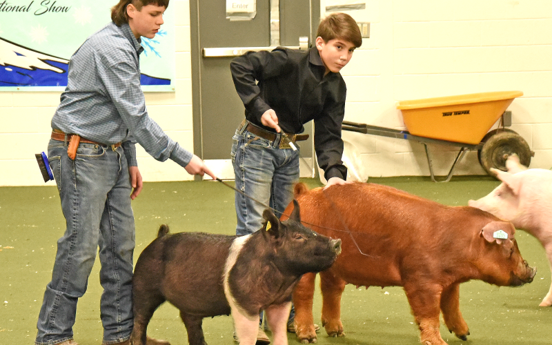 Kyle Allen, right, won two first place and a fourth place award at Pigs on the Ridge.