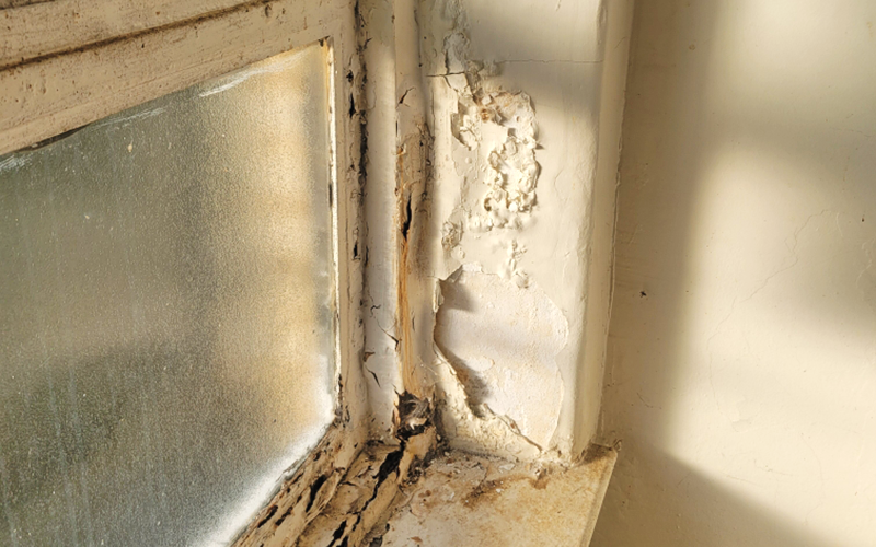 This is the type of damage in the Polk County Courthouse to be repaired.