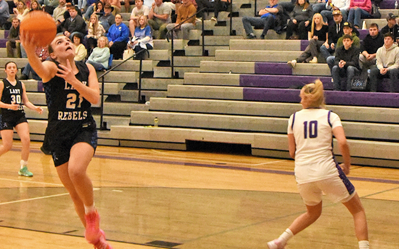 Maggie Ledford scored 16 points in Fannin’s win over Model.
