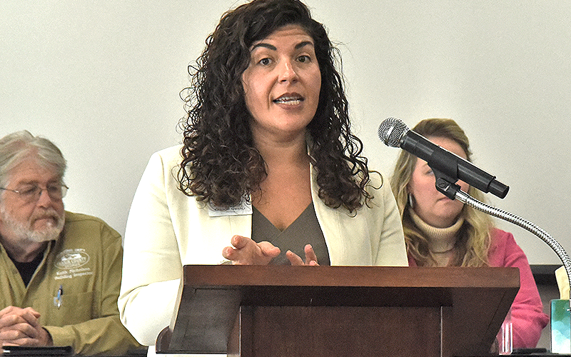 Christie Gribble, president of the Fannin County Chamber of Commerce &amp; CVB, introduces the next group of officials to the Leadership Fannin class. In the background is Building Inspector Keith Nicholson.