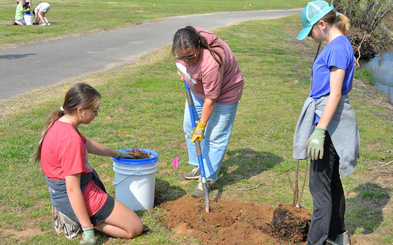 Students from Blue Ridge Elementary School planted trees at the Fannin County Recreation Park to help firefly populations. Pictured is Emily Owenby of Noontootla Creek Farms (center) digging a hole for the tree while Ellianna Urano (left) and Hope Ingle (right) wait to put the tree in the ground and cover it up.