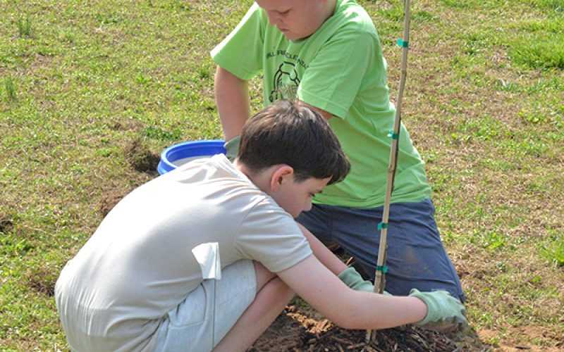 Students from Blue Ridge Elementary School’s Agrisplorers Club went to the Fannin County Recreation Park March 27 to help firefly populations pollinate the area. Pictured are, from left, Aiden Reyes and Julius Anderson planting a tree near the creek.