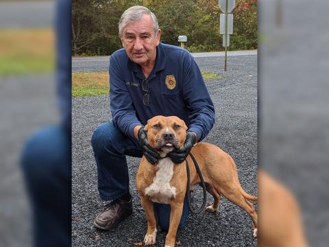 Fannin County Animal Control Officer JR Cornett kneels with this male Boxer mix. This handsome dog was dropped off September 17 and is staying at Fannin County Animal Control until reclaimed or adopted. He has a stocky build with a gold and white coat. View this sweet fella under Animal Control number 275-19.