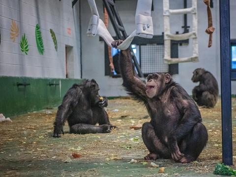 Noel, Ronald and Kareem enjoy lunch as they explore their new home, “The Chateau.”