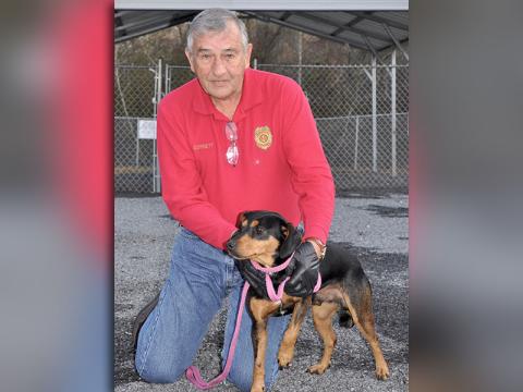 Animal Control Officer J.R. Cornett sits with this male Black and Tan mix. He was an owner surrender and will be staying at Animal Control until reclaimed or adopted. This guy has a shiny black and tan coat with dark brown eyes. View him under Animal Control number 372-19.