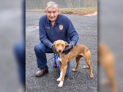 Animal Control Officer J.R. Cornett shows off this male Retriever mix who was picked up on Highway 515 November 22. He will be staying at Animal Control until reclaimed or adopted. This pretty boy has a light brown coat with patches of white and soft light brown eyes. View him under Animal Control number 342-19.