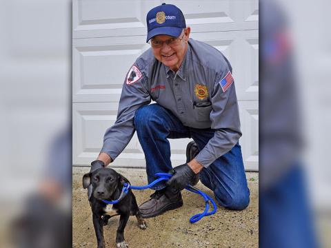 Fannin County Animal Control Officer Pat Patterson kneels with this female Feist mix. She was picked up on Madola Road in Epworth Tuesday, January 28, and will be staying at Animal Control until adopted or reclaimed. This sweetheart has a glistening, short black coat with patches of white on her paws and chest. View her under Animal Control number 037-2020.