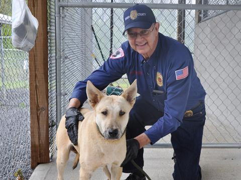 This female German Shepherd mix was an owner surrender, brought in April 22. She will reside at Fannin County Animal Control until adopted. This girl has a short, sandy white coat with chocolaty colored eyes. She is being held by Animal Control Officer Pat Patterson and can be viewed using intake number 131-20.