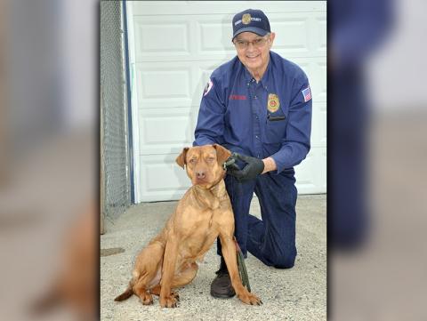 This female Lab mix, who volunteers have named Goldie, was picked up on Clay Circle in Morganton March 3. She will remain at Animal Control until reclaimed or adopted. Goldie is very well mannered and would make a great companion. She is shown being held by Fannin County Animal Control Officer Pat Patterson. View this pretty girl under Animal Control number 091-20.