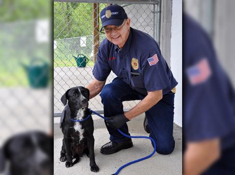 his female mix named Alexa is an owner surrender and will remain at Animal Control until adopted. She is a small-sized pooch and boasts a shiny, black coat. This gal is super sweet. View her under intake number 157-20. She is being held by Animal Control Officer Pat Patterson.