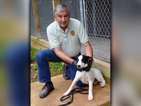 Sparky, a male mix, was picked up on Salem Road in Mineral Bluff June 24 and is looking for a forever home. He is younger, so he is full of life. View him using intake number 176-20. He is shown being held by Animal Control Officer J.R. Cornett.