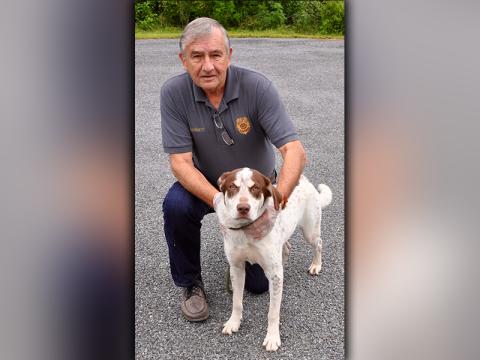 This male bird dog was found in Epworth August 5 and will remain at Animal Control until reclaimed or adopted. He has a white coat with light brown speckles. He is a good boy. View him using intake number 222-20. He is shown with Animal Control officer J.R. Cornett.