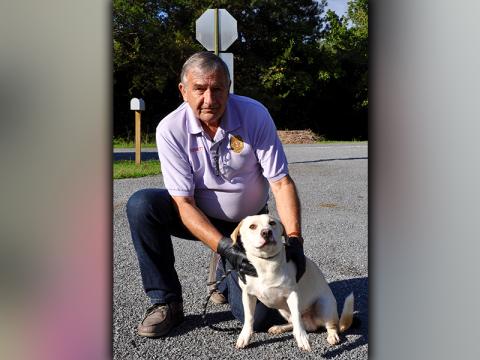 This male Beagle/Bassett Hound mix was picked up in Epworth August 27. He’s a sweetie and has a short, blonde and white coat. He is definitely a lover. View him using intake number 243-20. He is shown with Animal Control officer J.R. Cornett.
