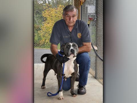 This female Bulldog was picked up on Colwell Road in Epworth September 25. She has a charcoal, brindle coat with white patches. She’s a good girl. View her using intake number 273-20. She is shown with Animal Control officer J.R. Cornett.