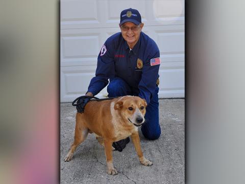This male, Hound mix was found in Epworth September 29. He has a red coat with white patches. This boy is very sweet. View him using intake number 724-20. He is shown with Animal Control officer Pat Patterson.