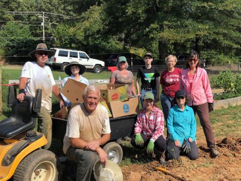 Feed Fannin volunteers harvested sweet potatoes Monday, September 28, at their farm on Ada Street in Blue Ridge. Shown are, from left, front, Dave Ricker, Lory Conte, Kathy Corey; back, Curt Hinnant, Priscilla Cashman, Sheryl Osborne and Toby, Catherine Sugg and Zora Herr.