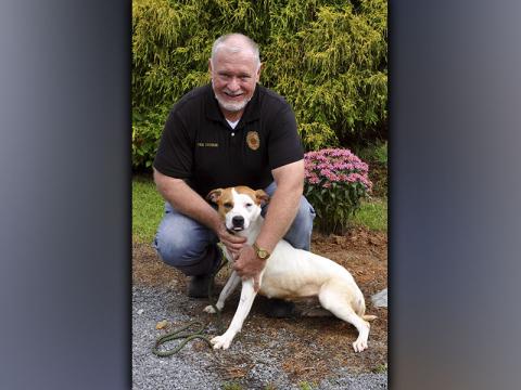 This female mix was surrendered May 15. This gal is smaller in size and has a white coat with orange on her head. She is very sweet. View this pretty girl using intake number 161-21. She is shown with Animal Control Officer Paul Cochran.