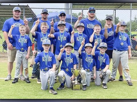 The Fannin County 8U All-Star baseball team recently won the Georgia Recreaction and Parks Class-C State Tournament June 23-24. The Rebels won the tournament by besting Wilcox County twice. The 8U All-Star baseball team is shown, from left, front, Aiden Owensby, Coltlee Jackson, Wyatt Kennedy and Zander Sparks; middle row, Brock Holloway, Brensen Campbell,Trevor Barnes, Zeke Payne, Elijah Crowder and Cason Dyer; and back, Assistant Coach TJ Ross, Assistant Coach Andy Dyer, Head Coach Julie Dyer, Assistant C
