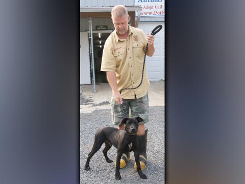 This male Lab mix was dropped off at Animal Control July 22. He has a short, black coat with white on his chest. View him using intake number 245-21. He is shown with Animal Control Officer Luke McDonald.