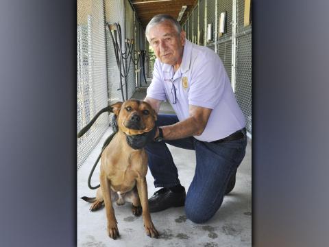 This male mix was picked up on Joy Road in McCaysville June 29. He has a short, brown coat and seems well behaved. View him using intake number 208-21. He is shown with Fannin County Animal Control Interim Manager J.R. Cornett.