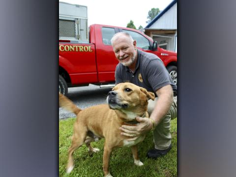 This male mix was dropped off at Animal Control July 29, 2021. This playful boy has a short, reddish brown coat with white on his chest, under his chin and on all four paws. View him using intake number 270-21. He is shown with Animal Control Officer Paul Cochran.