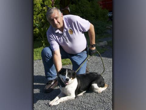 This female Border Collie mix was picked up on Quiet Lane in Blue Ridge August 11. She has a long, black and white coat. View this good girl using intake number 283-21. She is shown with animal control Interim Manager J.R. Cornett.