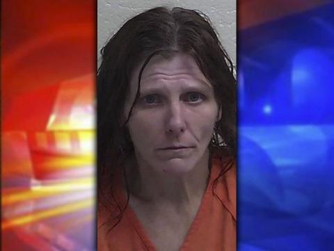Karen Michelle Woods