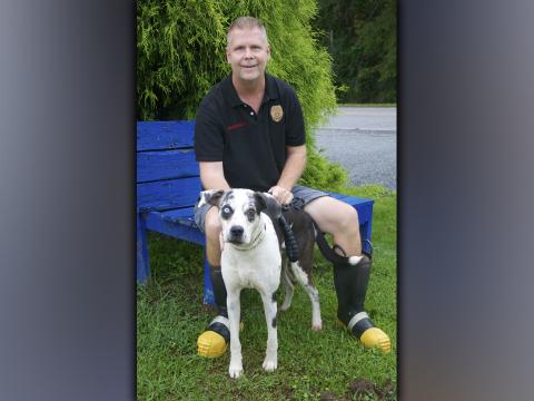 This male Catahoula mix was picked up on Madola Road in Epworth August 31. He has a white coat with black spots and one blue and one brown eye. View this good boy using intake number 314-21. He is shown with animal control Officer Luke McDonald.