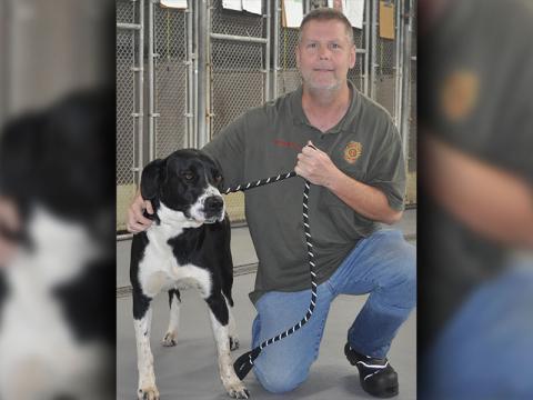 This male mix was surrendered by his owner December 29. This boy is black and white. View this good boy using intake number 456-21. He is shown with animal control Officer Luke McDonald. 