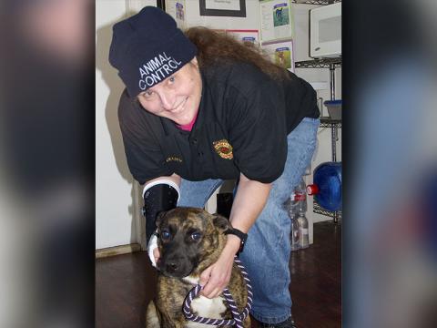 This female mix was picked up on Highway 515 in Morganton January 8. This sweet girl has a short, brown brindle coat. View her using intake number 010-22. She is shown with animal control Officer Michelle Degner.