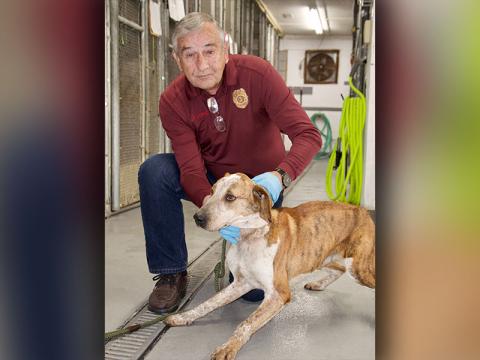 This male mix was found on Murphy Highway in Mineral Bluff February 7. He has an orange coat with brown spots. View this cutie using intake number 043-22. He is shown with animal control Interim Manager J.R. Cornett.
